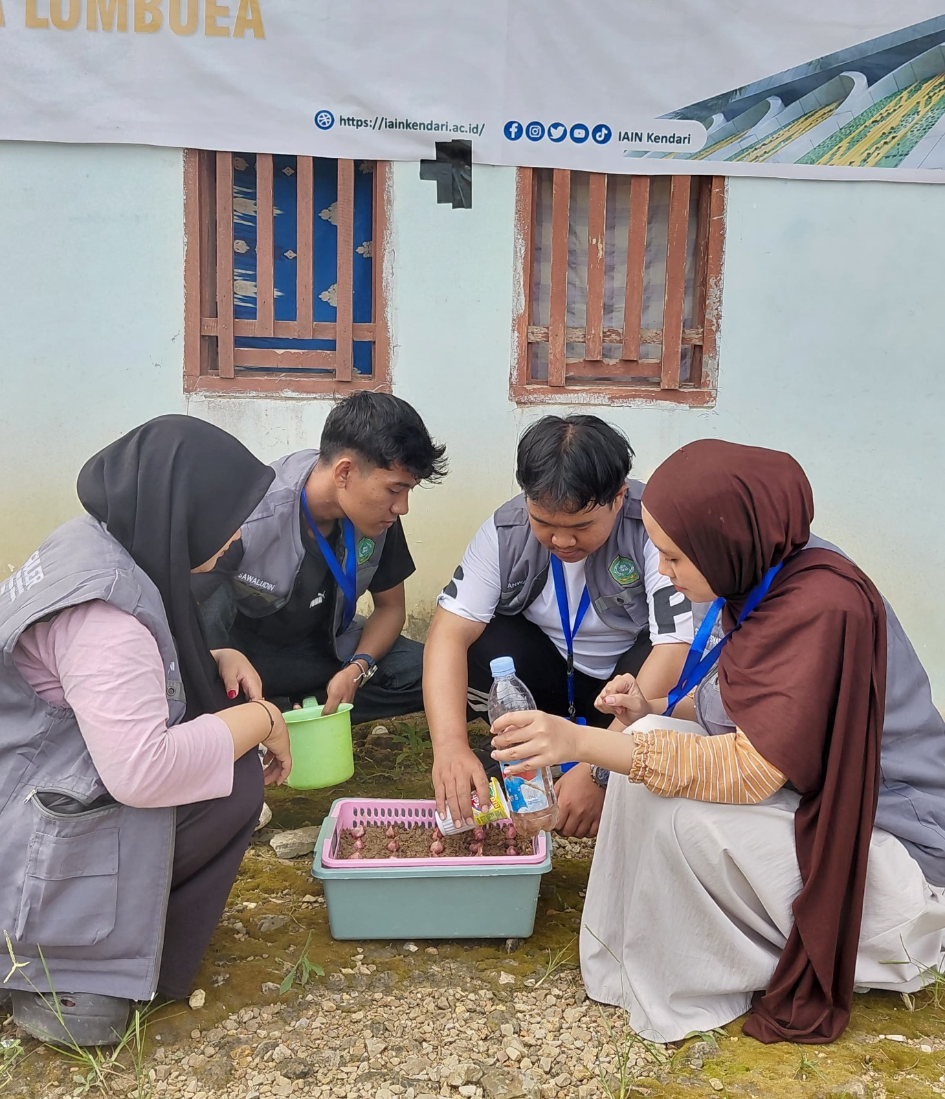 Atasi Dampak Inflasi, Mahasiswa KKN IAIN Kendari Kembangkan Urban Farming Bawang Merah di Kecamatan Moramo Utara