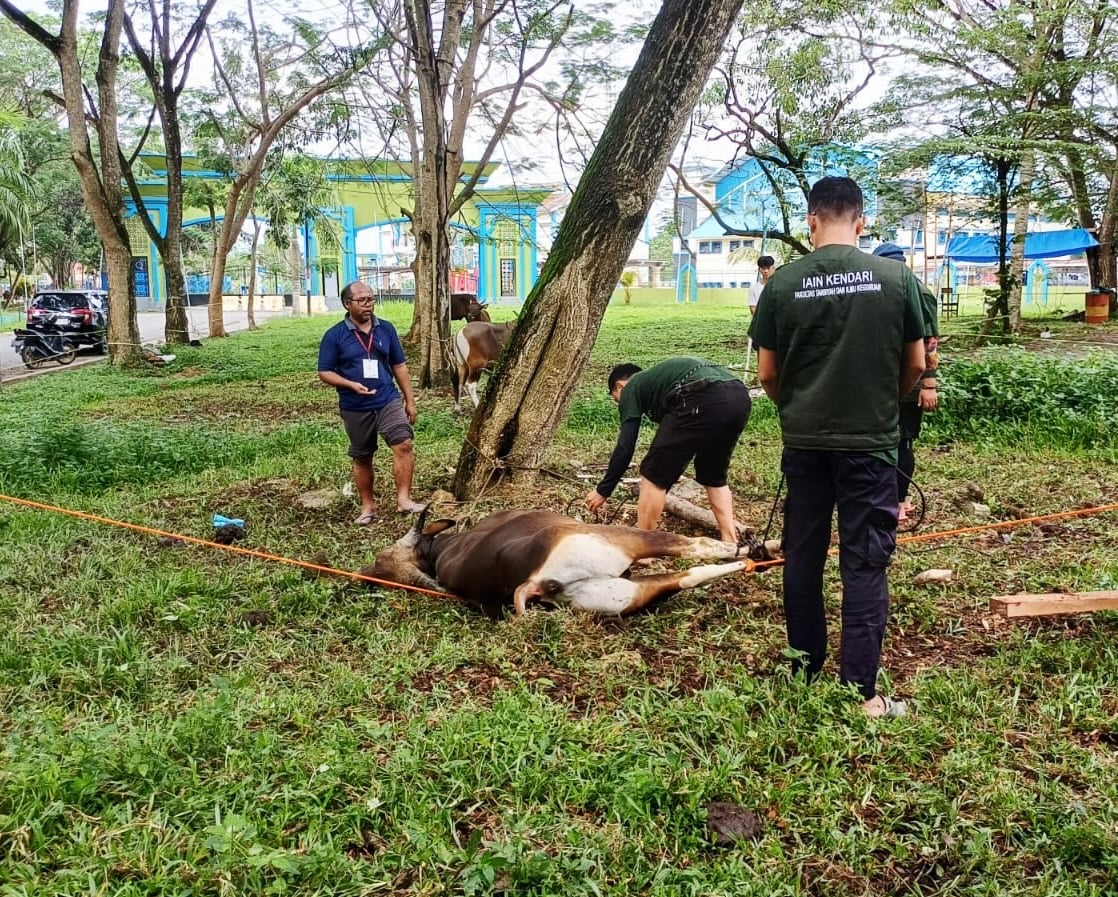 IAIN Kendari Berbagi 1.037 Paket Daging Kurban pada Idul Adha 1447 H